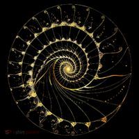 Fibonacci Spiral Ratio Mathematicians Sacred Geometry Button thumb 1