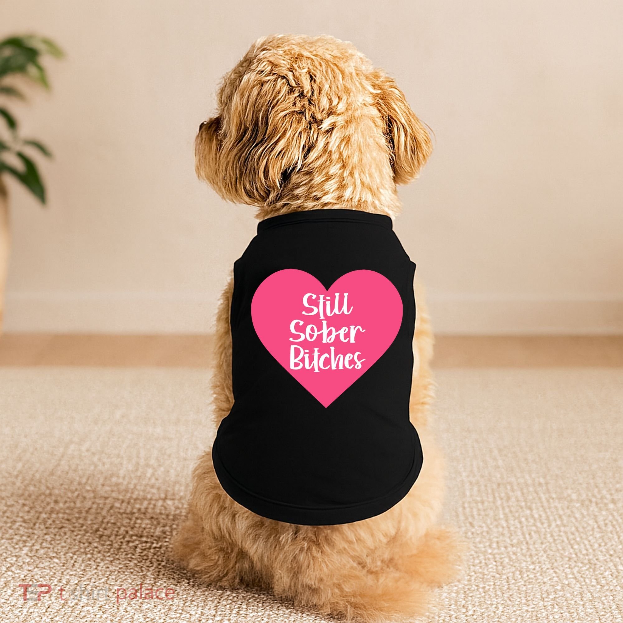 Funny Sobriety Recovery Aa Na Gift Still Sober Bitches Meaningful Gift Doggie Tank