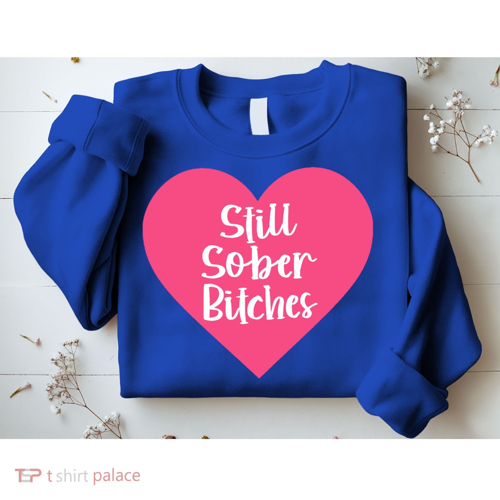 Funny Sobriety Recovery Aa Na Gift Still Sober Bitches Meaningful Gift Sweatshirt