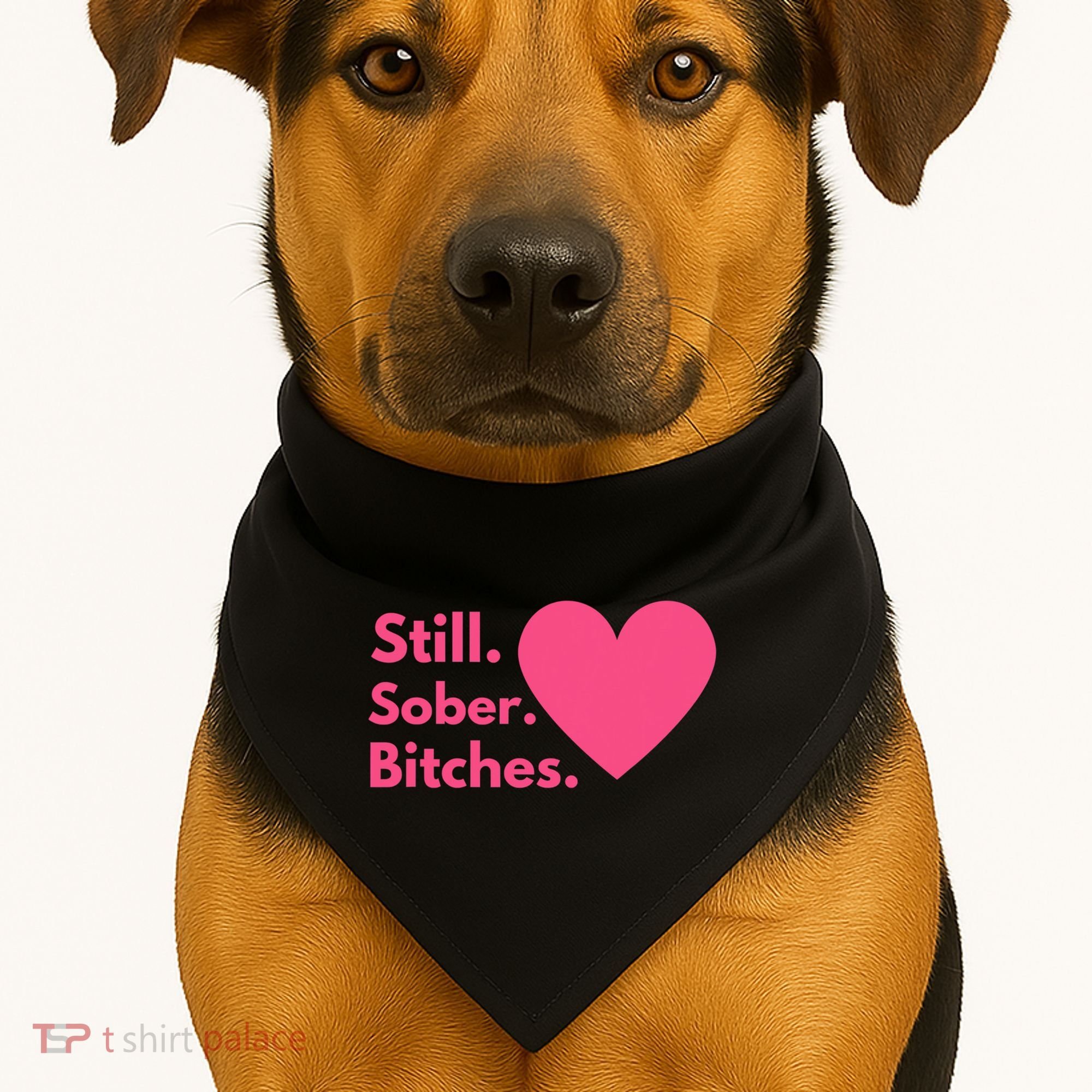 Funny Sobriety Recovery Aa Na Meaningful Gift Still Sober Bitches Meaningful Gif USA-Made Doggie Bandana