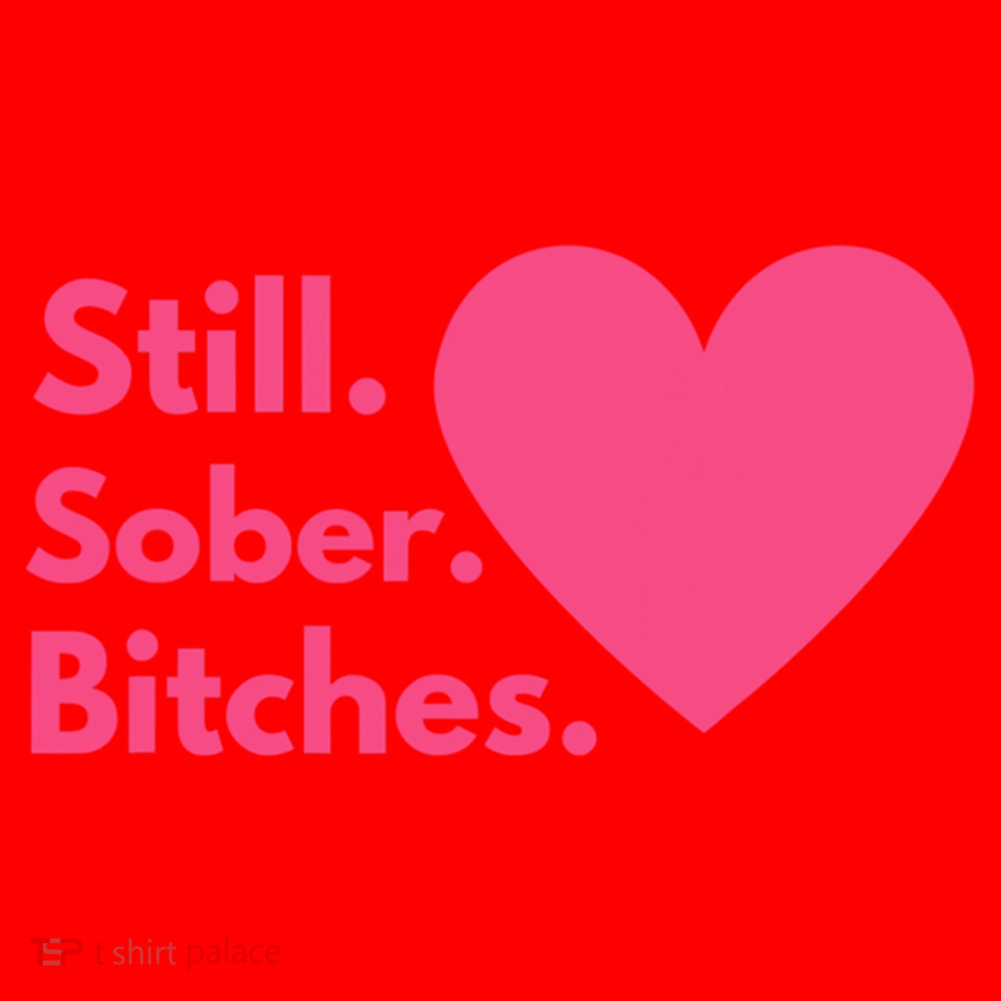 Funny Sobriety Recovery Aa Na Meaningful Gift Still Sober Bitches Meaningful Gif Santa Hat