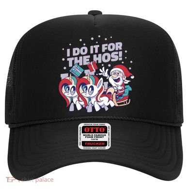 Funny Santa Riding Sleighs With Unicorns Hat