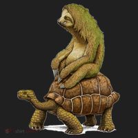 Funny Sloth Riding Turtle Speed Is Relative Women's Sweatshirt thumb 2