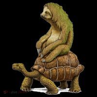 Funny Sloth Riding Turtle Speed Is Relative Toddler Hoodie thumb 2