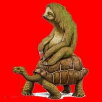 Funny Sloth Riding Turtle Speed Is Relative Santa Hat thumb 1