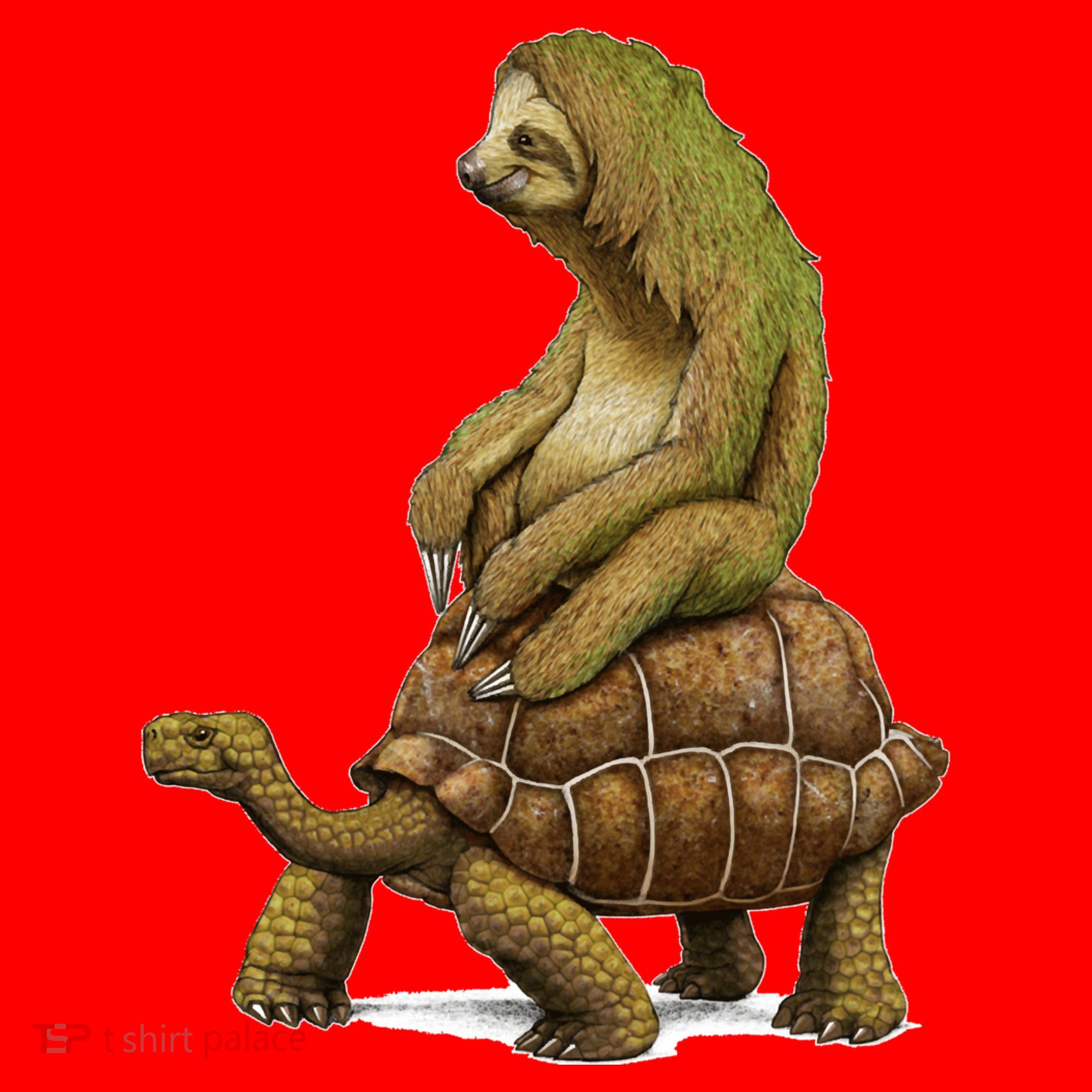 Funny Sloth Riding Turtle Speed Is Relative Santa Hat