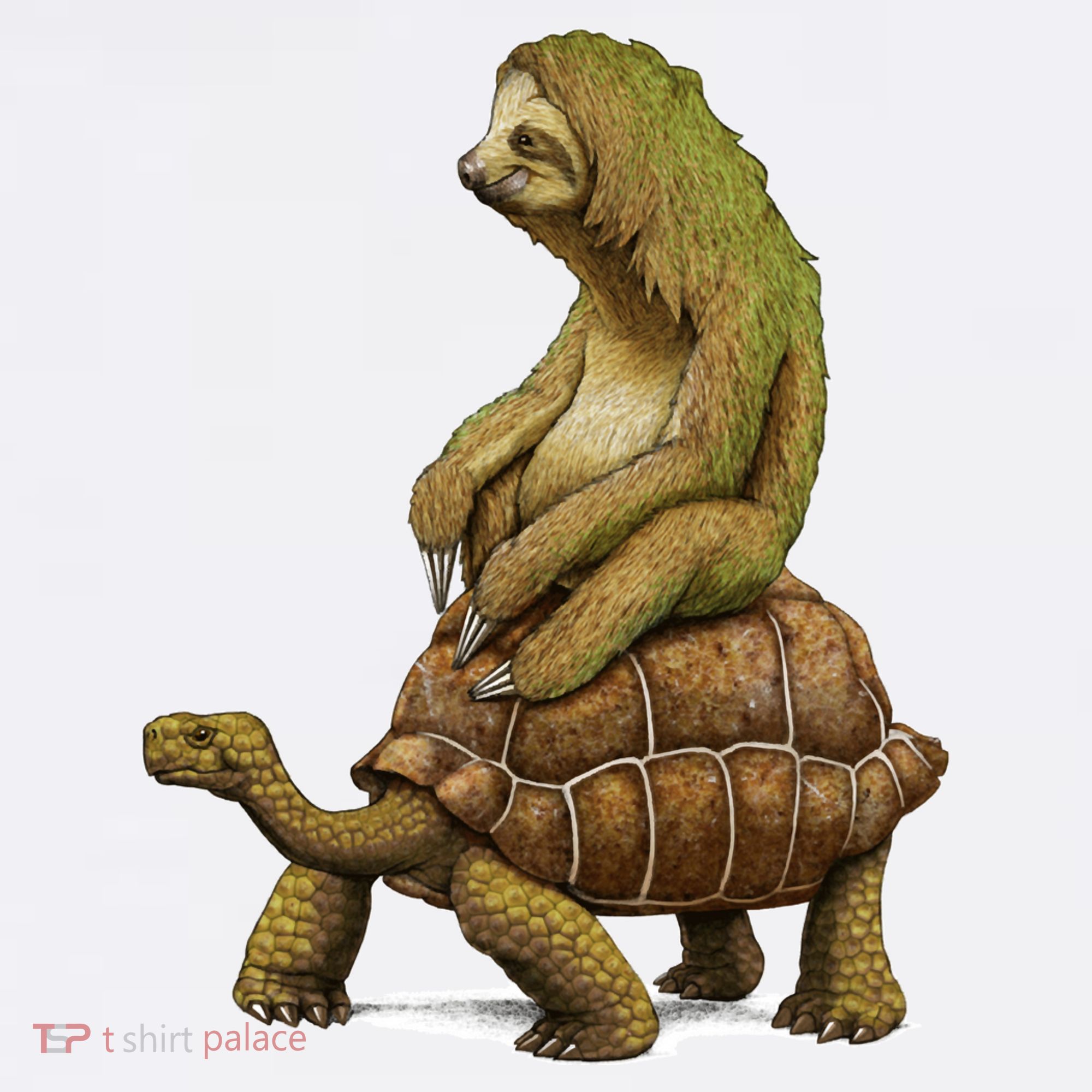 Funny Sloth Riding Turtle Speed Is Relative Toddler T-Shirt