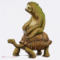 Funny Sloth Riding Turtle Speed Is Relative Visor thumb 3
