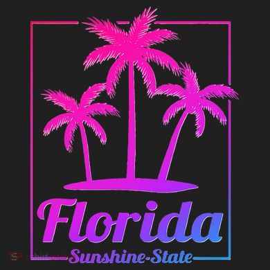 Florida Sunshine State Retro Look Comfort Colors Boxy T-Shirt