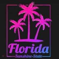 Florida Sunshine State Retro Look Women's Tri-Blend 3/4-Sleeve Raglan Shirt thumb 4