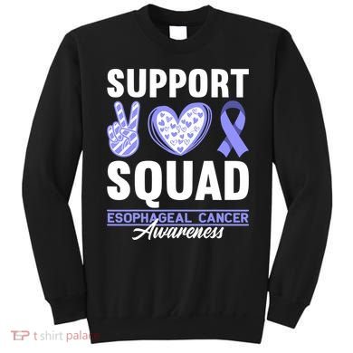 Funny Support Squad I Esophagus Esophageal Cancer Sweatshirt