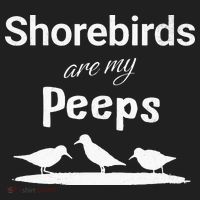 Funny Shorebird Sandpiper Peeps Birdwatching Birder Beanie thumb 2