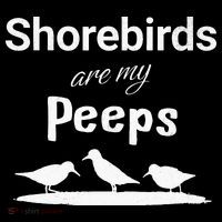 Funny Shorebird Sandpiper Peeps Birdwatching Birder Kids T-Shirt thumb 4