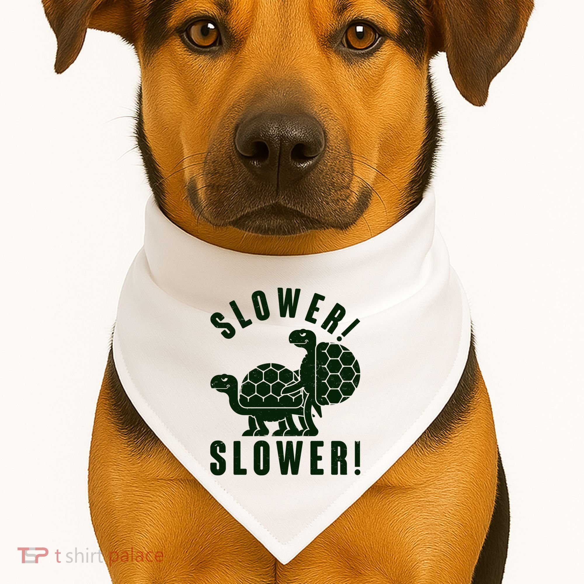 Funny Slower Slower Two Turtles USA-Made Doggie Bandana