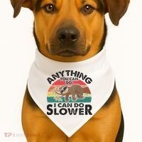 Funny Sleep Sloth Anything You Can Do Women Gift USA-Made Doggie Bandana thumb 1