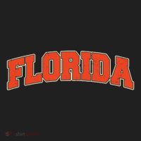 Florida State Sports Logo Women's Sweatshirt thumb 2