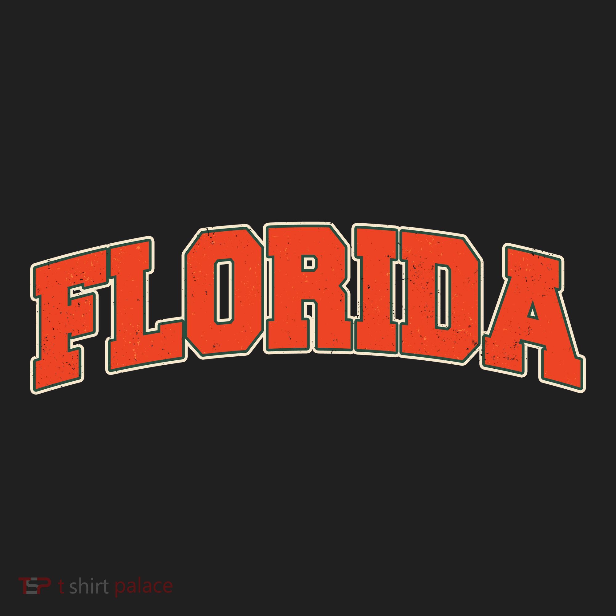 Florida State Sports Logo Women's Sweatshirt
