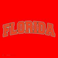 Florida State Sports Logo Santa Hat thumb 1
