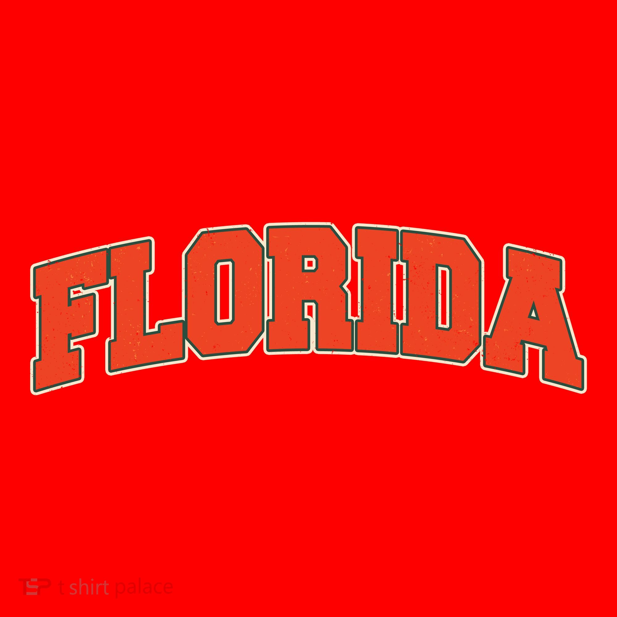 Florida State Sports Logo Santa Hat