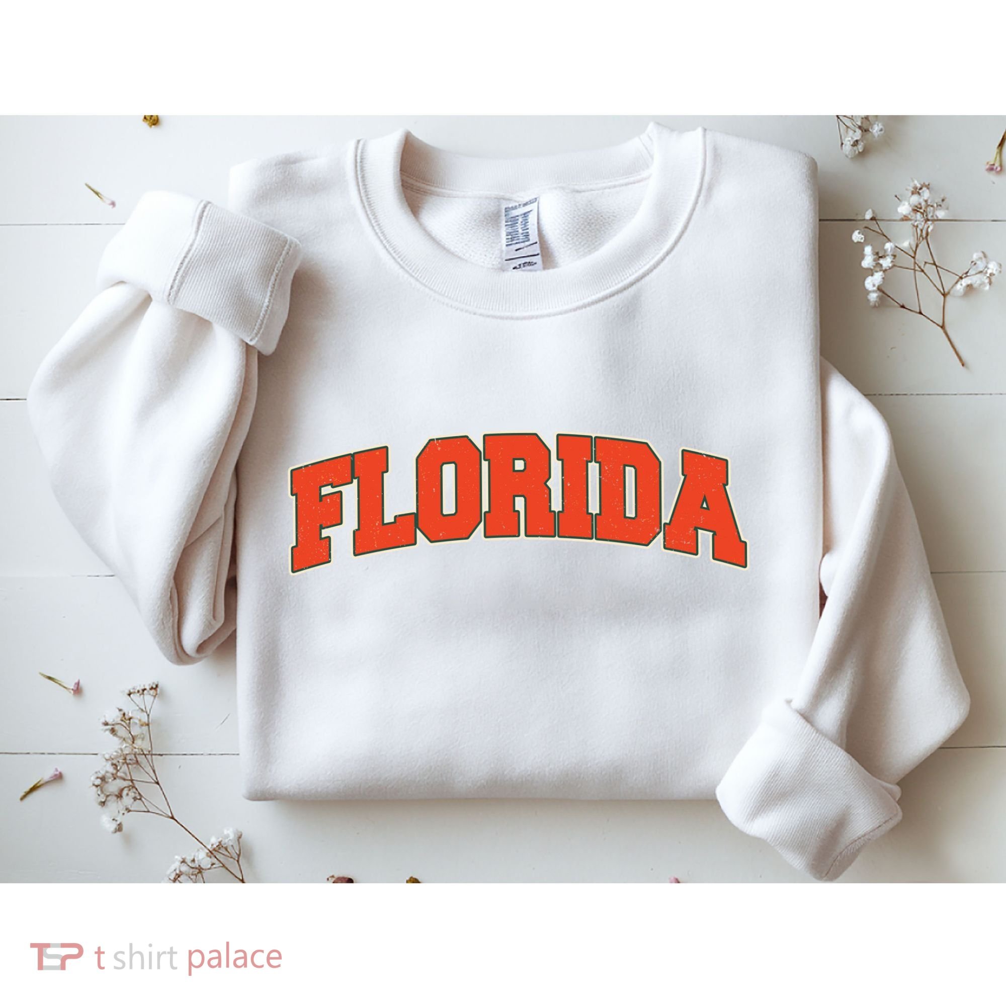 Florida State Sports Logo Sweatshirt
