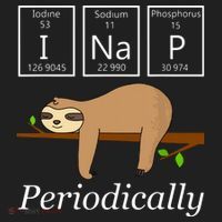 Funny Science Sloth Shirts I Nap Periodically Sloths Lovers Comfort Colors Boxy T-Shirt thumb 3