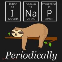 Funny Science Sloth Shirts I Nap Periodically Sloths Lovers Ornament thumb 1