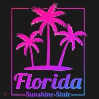 Florida Sunshine State Retro Look Womens Funnel Neck Pullover Hood thumb 2