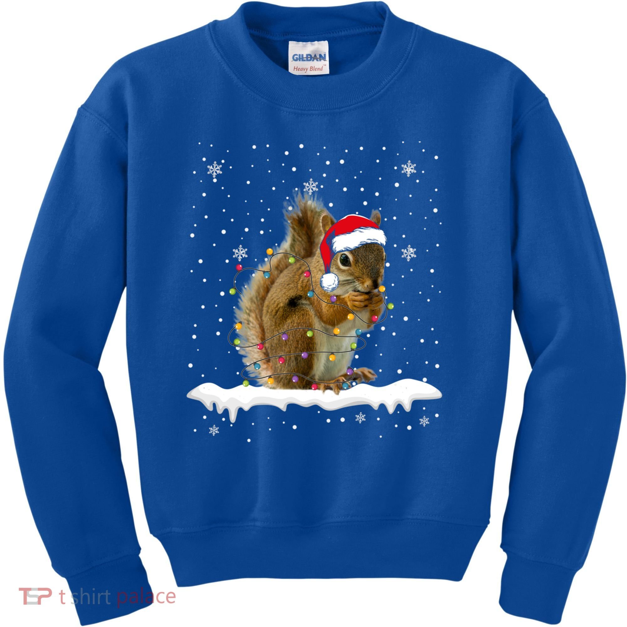 Funny Santa Squirrel Christmas Lights Animals Lover Gift Kids Sweatshirt