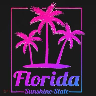 Florida Sunshine State Retro Look Women's Perfect Tri Tunic Long Sleeve Shirt