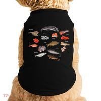 Flounder Sturgeon Sprat Trout Salmon Cod Aquatic Species Doggie Tank thumb 0
