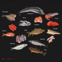 Flounder Sturgeon Sprat Trout Salmon Cod Aquatic Species Tote Bag thumb 4