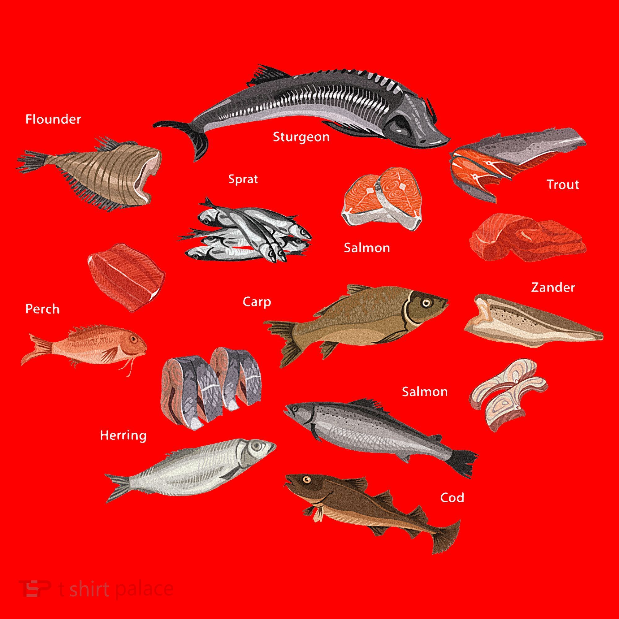 Flounder Sturgeon Sprat Trout Salmon Cod Aquatic Species Santa Hat
