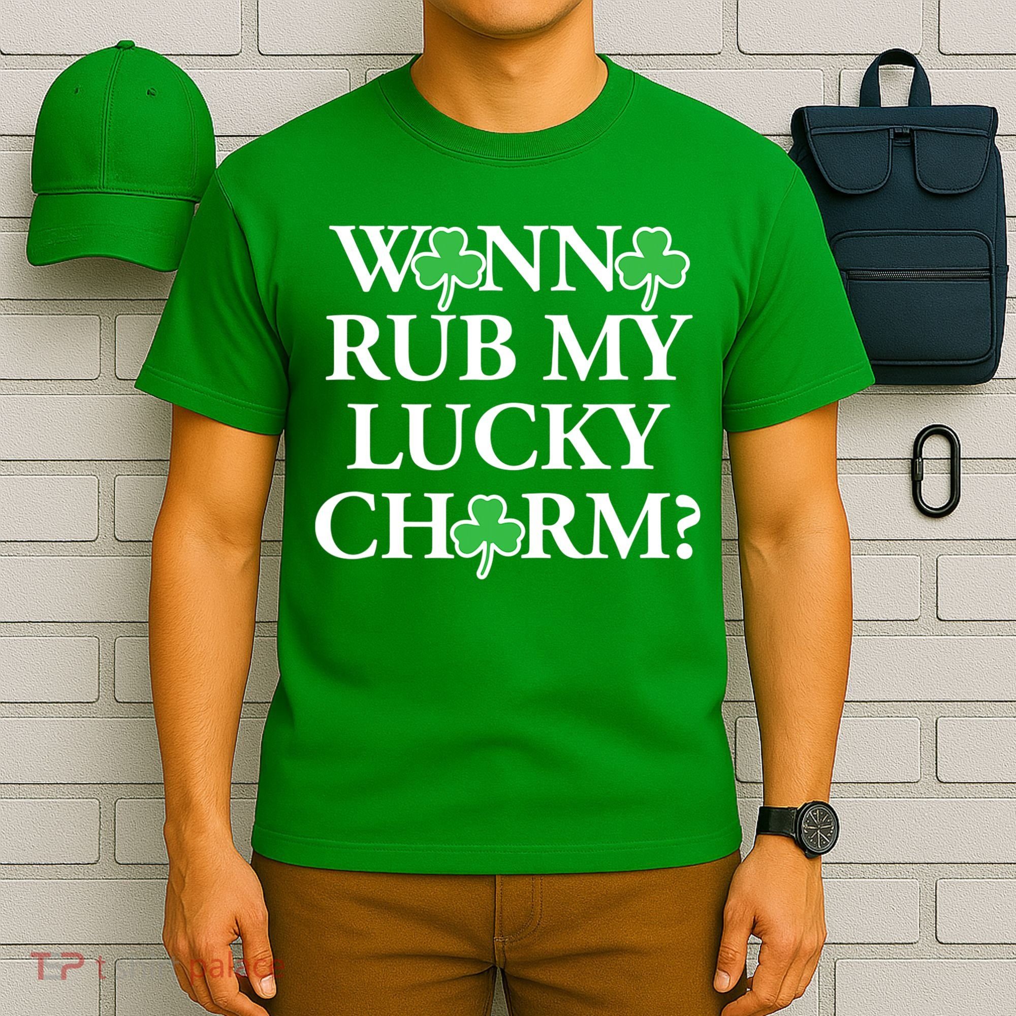 Funny Sexy St Patricks Day Clothing For Men Inappropriate T-Shirt