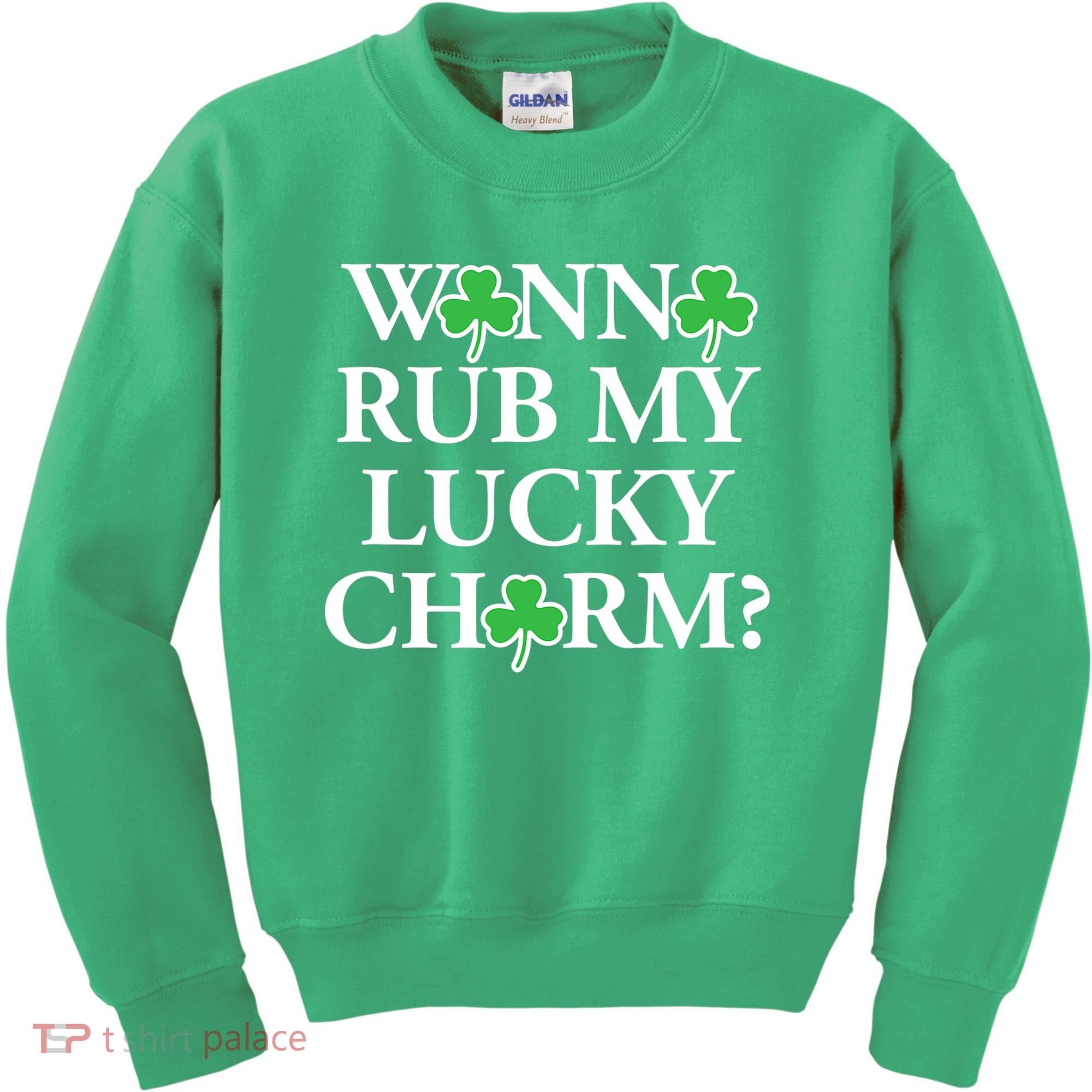 Funny Sexy St Patricks Day Clothing For Men Inappropriate Kids Sweatshirt