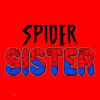 Funny Spider Sister Matching Family Shirts Santa Hat thumb 1