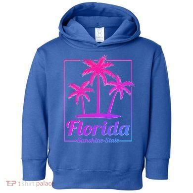 Florida Sunshine State Retro Look Gift Toddler Hoodie