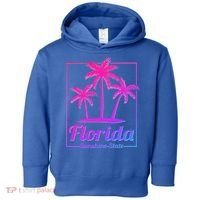Florida Sunshine State Retro Look Gift Toddler Hoodie thumb 0