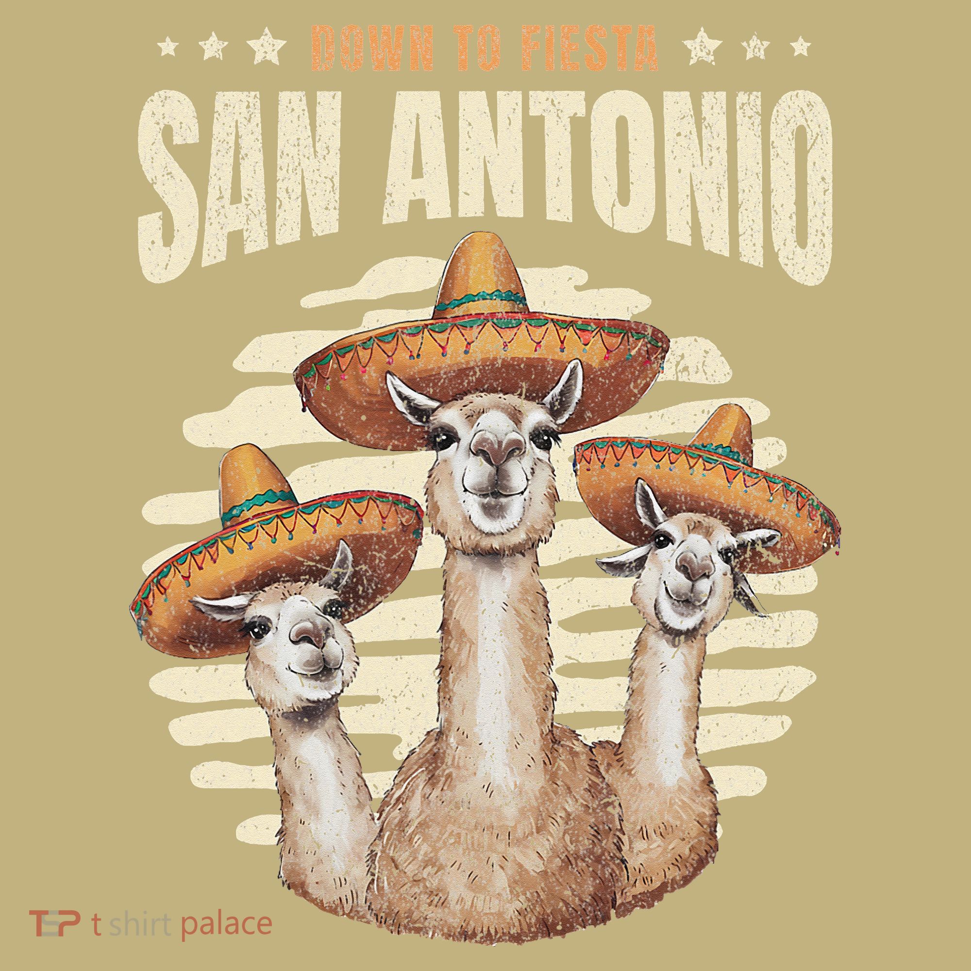 Fiesta Squad San Antonio Texas Cinco De Mayo Lets Fiesta Sweatshirt