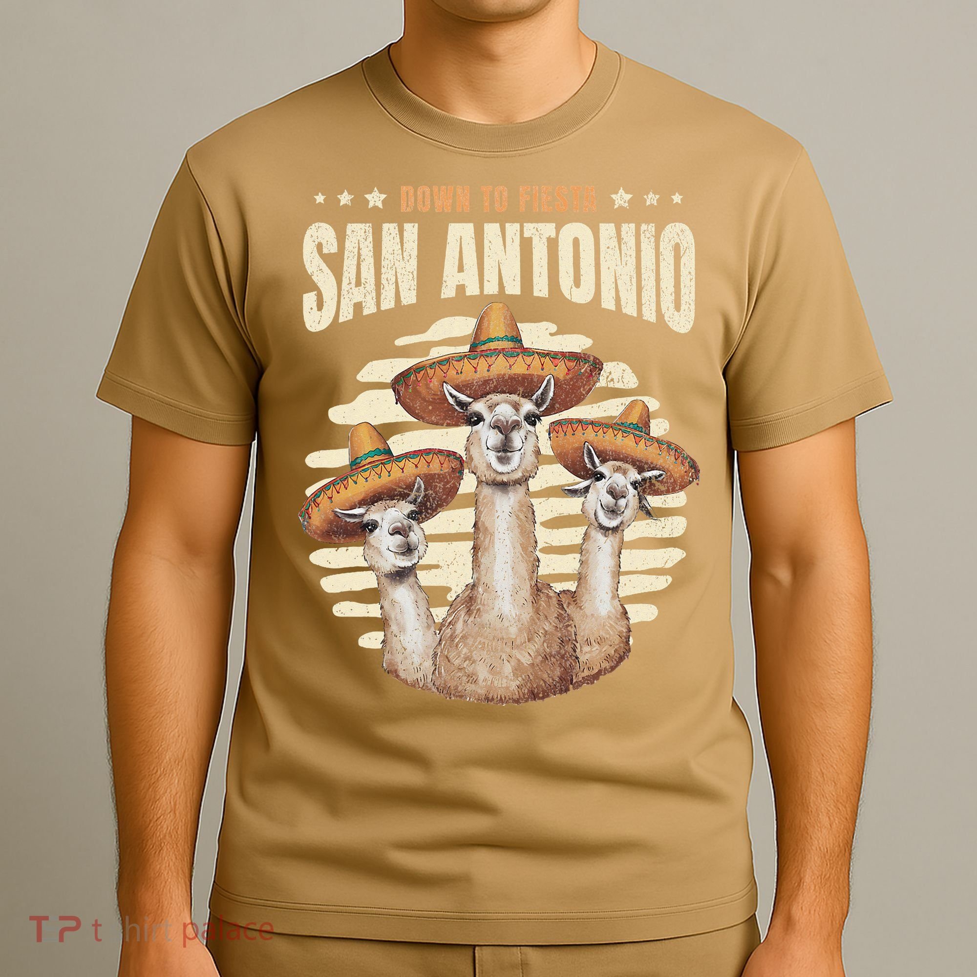 Fiesta Squad San Antonio Texas Cinco De Mayo Lets Fiesta T-Shirt