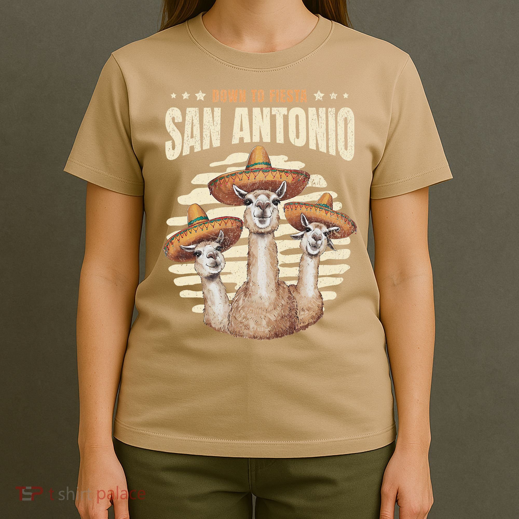 Fiesta Squad San Antonio Texas Cinco De Mayo Lets Fiesta T-Shirt