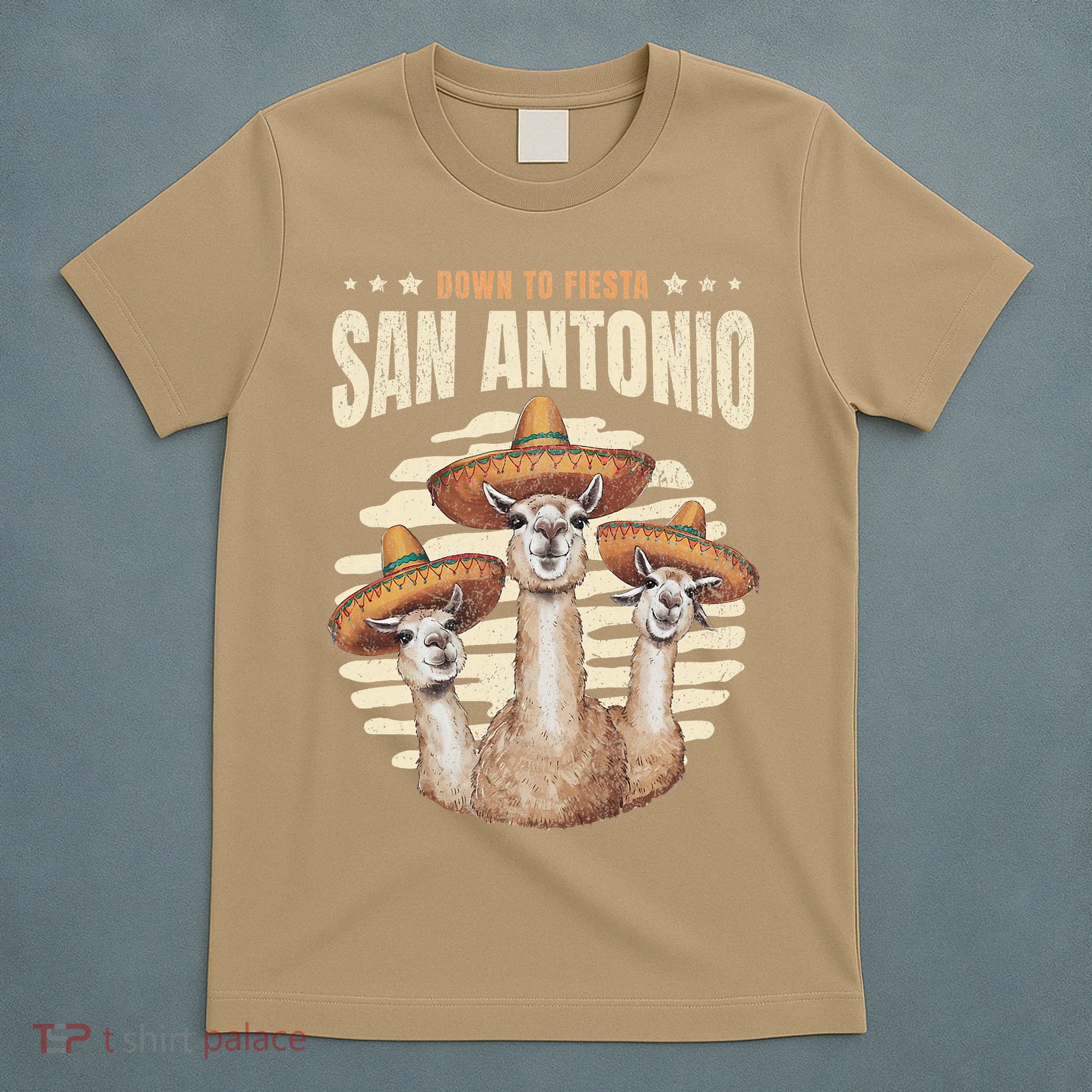 Fiesta Squad San Antonio Texas Cinco De Mayo Lets Fiesta T-Shirt