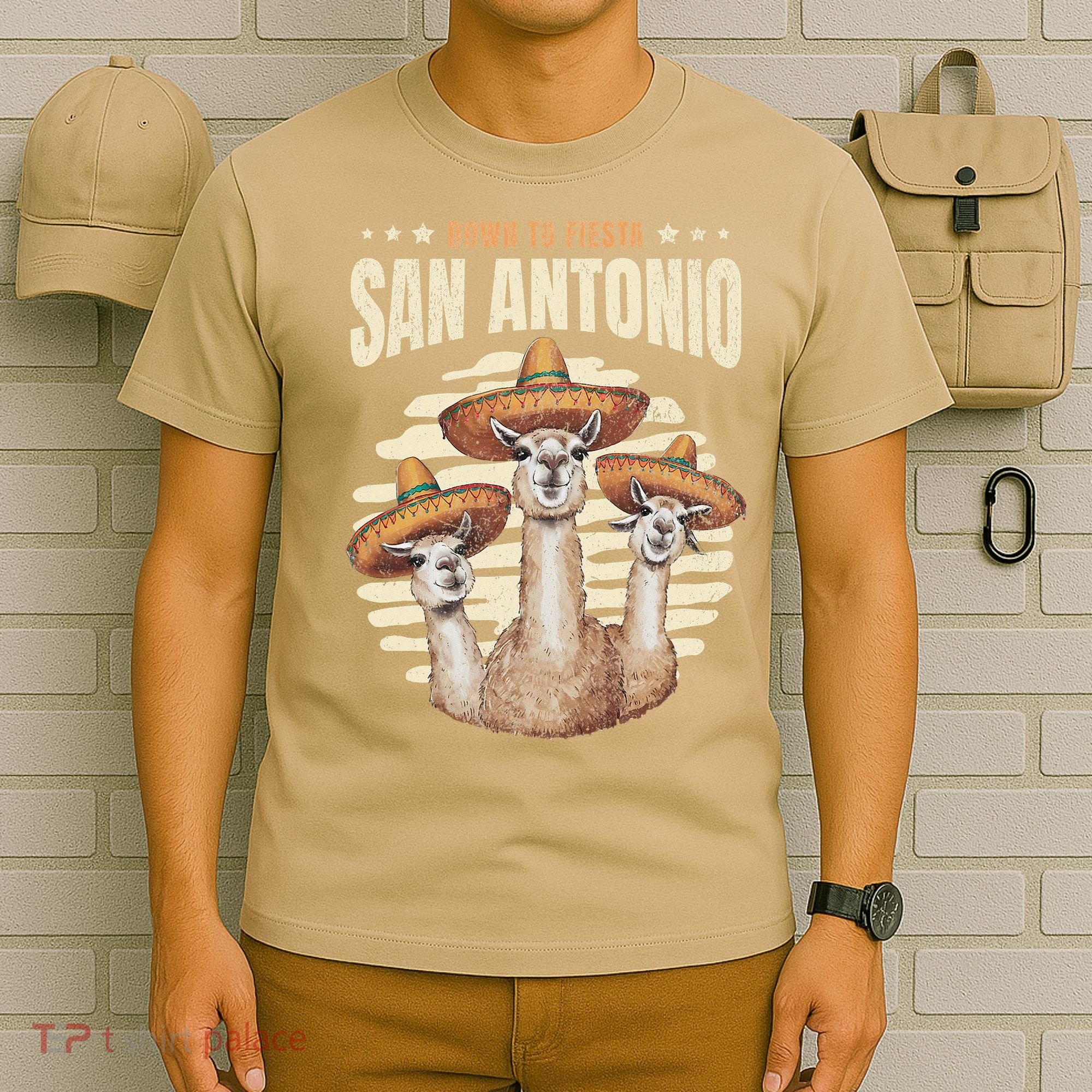 Fiesta Squad San Antonio Texas Cinco De Mayo Lets Fiesta T-Shirt