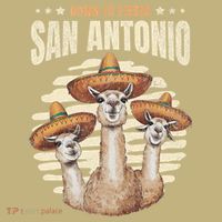 Fiesta Squad San Antonio Texas Cinco De Mayo Lets Fiesta Button thumb 1