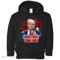 Funny Santa Trump Christmas Came Early 47th President Xmas Toddler Hoodie thumb 0