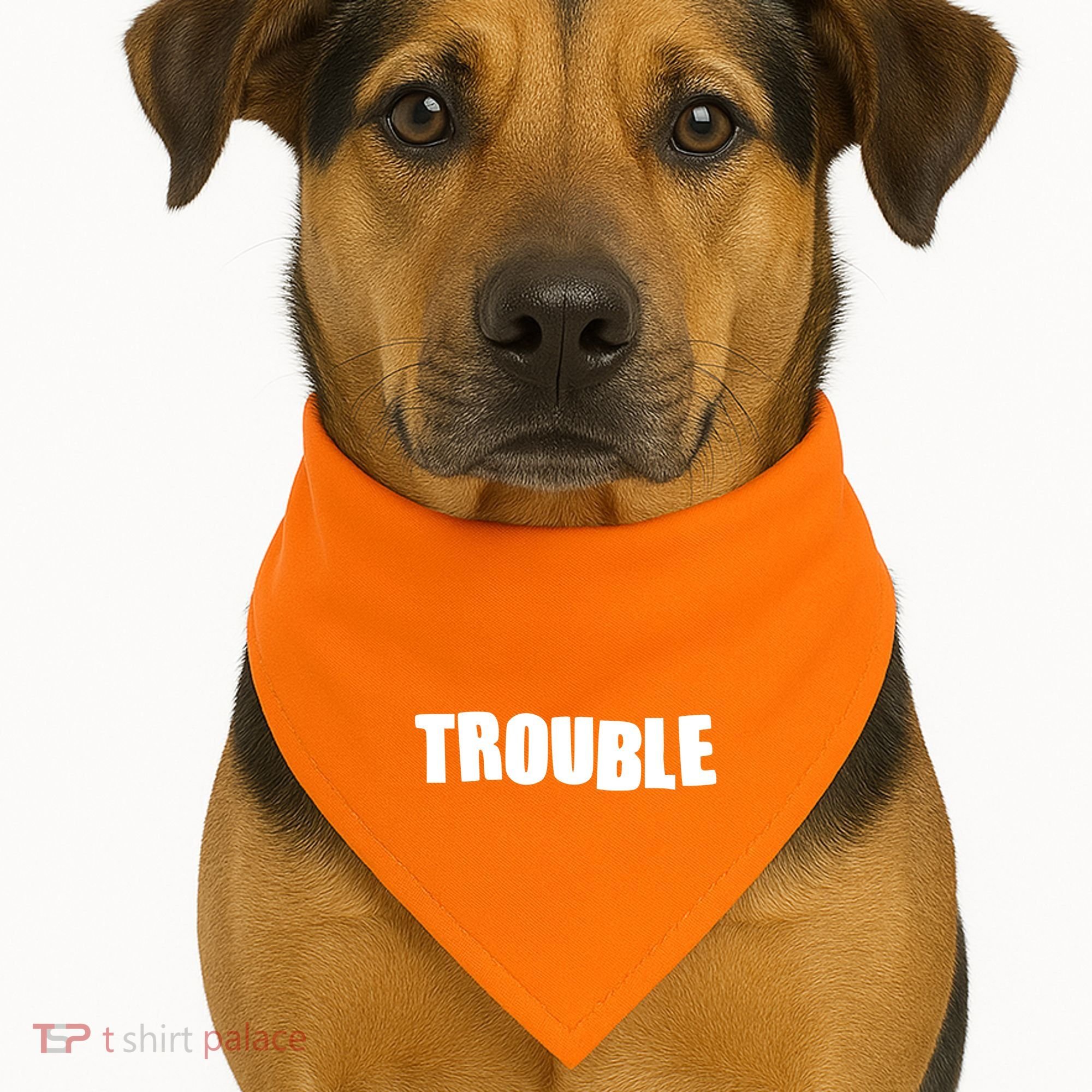 Funny Somebodys Trouble Matching Couple Family Shirts USA-Made Doggie Bandana