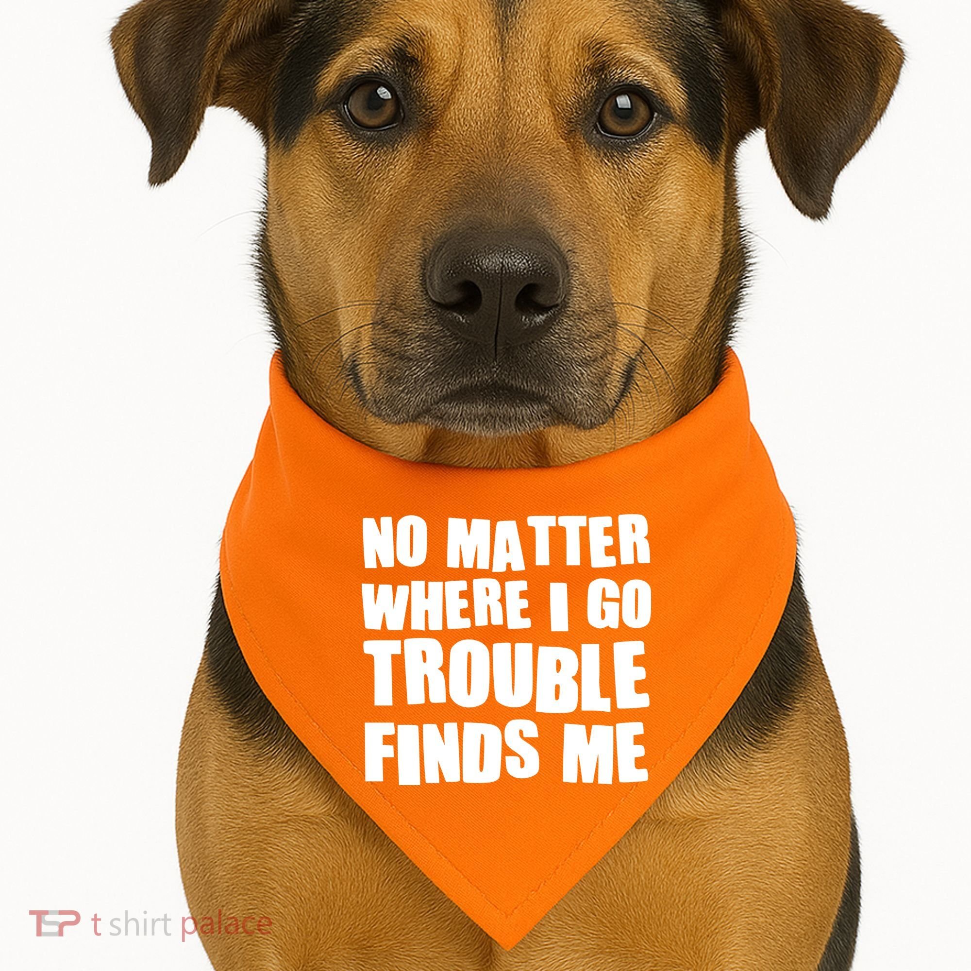 Funny Somebodys Trouble Matching Couple Family Shirts USA-Made Doggie Bandana