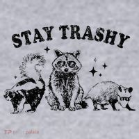 Funny Stay Trashy Raccoons Opossums Possums Animals Lover Women's Sweatshirt thumb 2