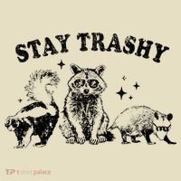 Funny Stay Trashy Raccoons Opossums Possums Animals Lover Comfort Colors Boxy T-Shirt thumb 3