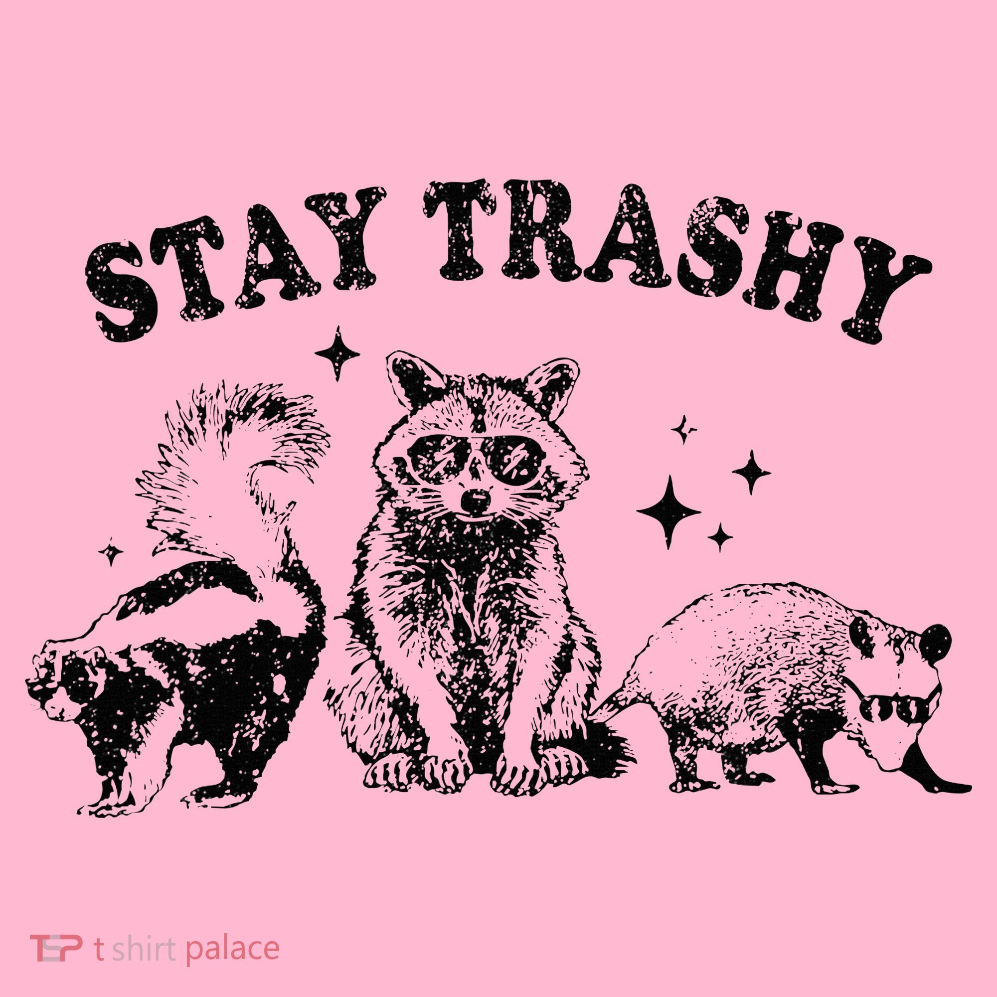 Funny Stay Trashy Raccoons Opossums Possums Animals Lover Coaster