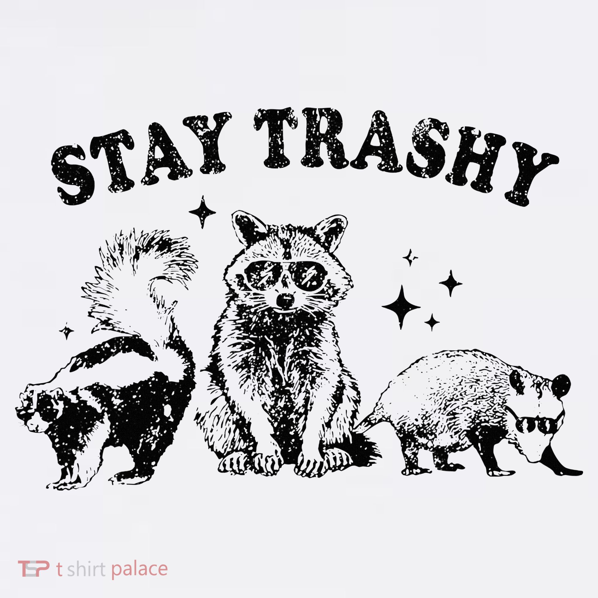 Funny Stay Trashy Raccoons Opossums Possums Animals Lover Women's Hoodie